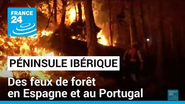Feux de forêt : des milliers de pompiers mobilisés en Espagne et au Portugal • FRANCE 24
