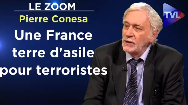 Salafisme : du séparatisme au terrorisme - Le Zoom - Pierre Conesa - TVL