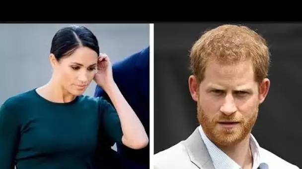 Le prince Harry et Meghan Markle ont été qualifiés de « exclus » qui ont poussé le roi « jusqu'à la