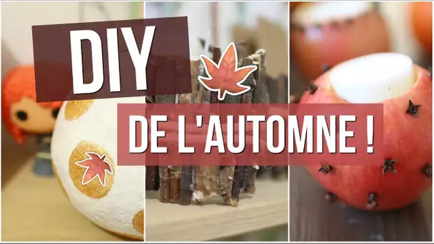 [ DIY n°10 ] : DIY DE L&#039;AUTOMNE À FAIRE ABSOLUMENT !