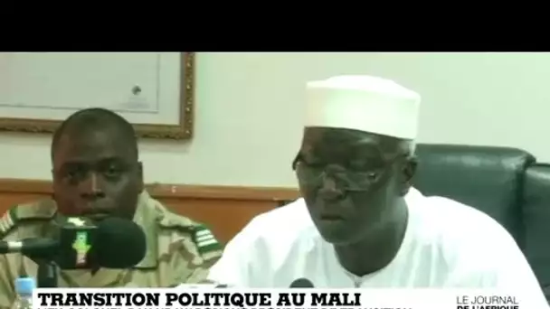 Transition au Mali : un colonel et ex-ministre de la défense dirigera le pays