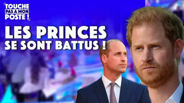 William et Harry se seraient battus !