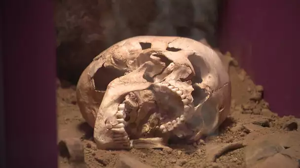 Archéologie : découverte exceptionnelle d'une une grotte à La Rochefoucauld-en-Angoumois en Charente