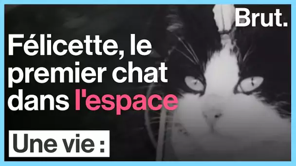 Une vie : Félicette