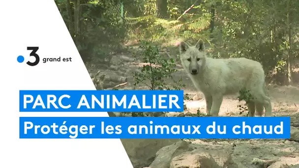 Préserver les animaux de la chaleur au Parc Argonne Découverte