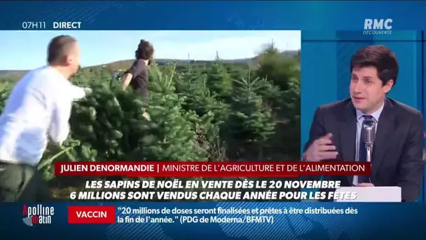 Sur RMC, Julien Denormandie affirme qu'il sera "possible d'acheter des sapins à Noël"