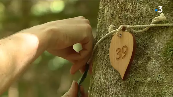 Le projet de forêt cinéraire suspendu à Arbas