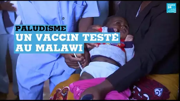 Paludisme : un premier vaccin testé au Malawi