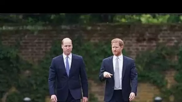 Le prince William était «livide» avec le prince Harry à propos de l'accord Netflix: «Incroyablement