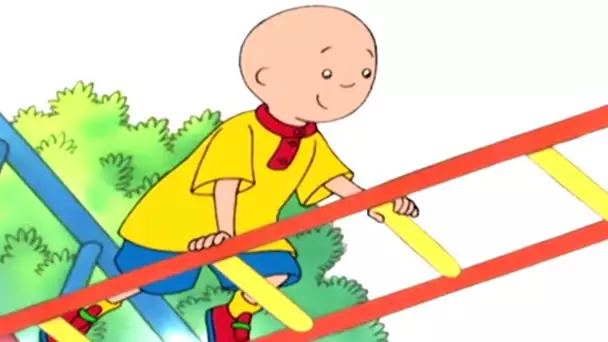 Caillou en Français - Caillou et les Barres de Singe | dessin animé | conte pour enfant