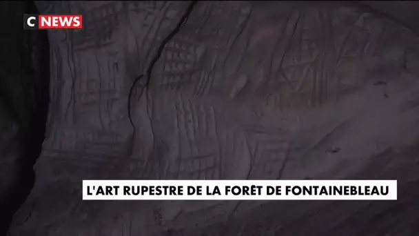 L'art rupestre de la forêt de Fontainebleau