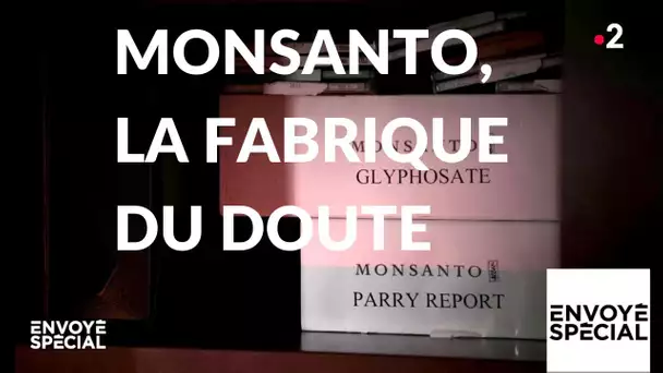 Envoyé spécial. Monsanto, la fabrique du doute - 17 janvier 2019 (France 2)
