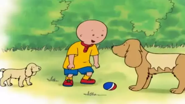 Cartoon français | Caillou FRANÇAIS - Les éléphants (S03E03) | conte pour enfant | dessin animé