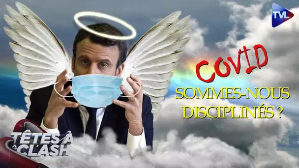 Covid-19 : sommes-nous assez disciplinés ? - Têtes à Clash n°67 - TVL