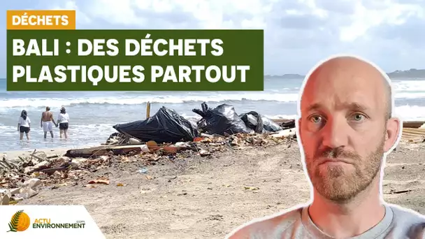 Déchets à Bali : les associations se mobilisent