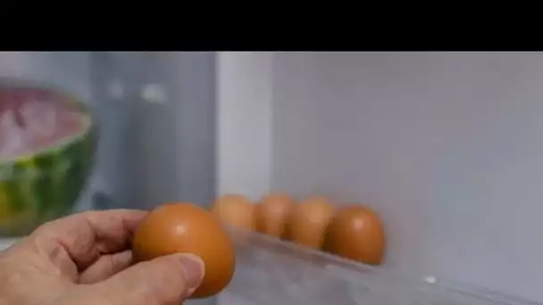 Découvrez pourquoi il ne faut JAMAIS conserver les œufs au réfrigérateur