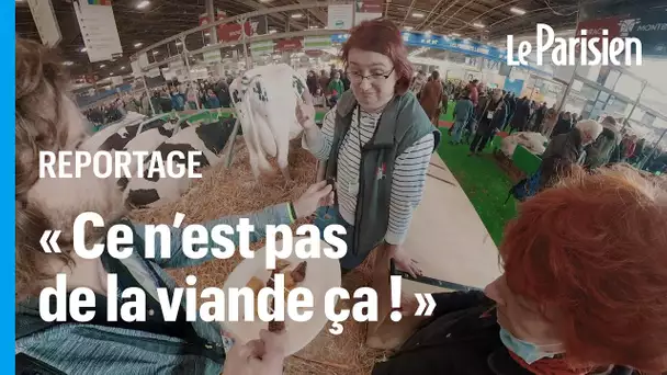 Salon de l’agriculture : la « viande végétale » cherche sa place au royaume des animaux