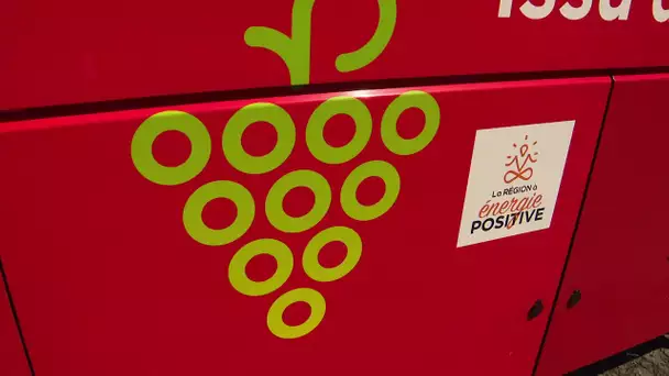 Montpellier : 15 bus "propres" roulant au bioéthanol de marc de raisin en service en juillet