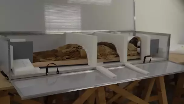 Amiens (80) : après sa restauration, la momie Setjaïmengaou est de retour au musée de Picardie
