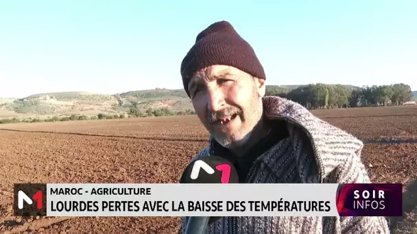 Agriculture : lourdes pertes avec la baisse des températures