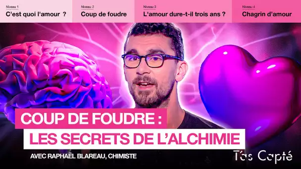 Les secrets du coup de foudre expliqués par un chimiste - T'as Capté - CANAL+