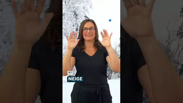 Le dérèglement climatique en langue des signes [Lexique Tout En Signes]