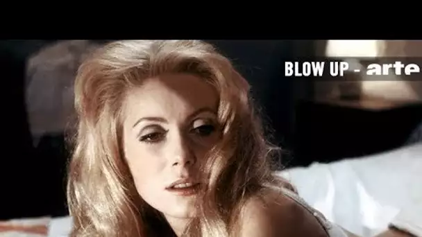 Belle de jour en 6 minutes - Blow Up - ARTE