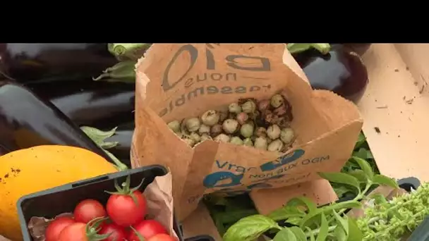 "Ça a des bénéfices multiples !" Une entreprise de l'Eure installe un potager collaboratif