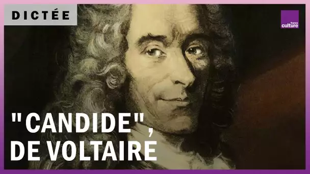 La Dictée géante : "Candide" de Voltaire