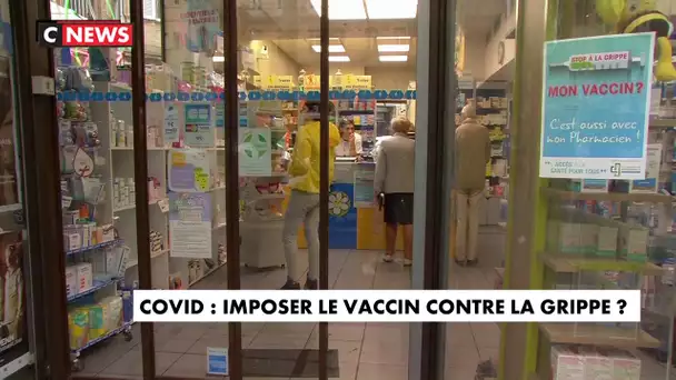 Bientôt des campagnes massives de vaccin contre la grippe ?