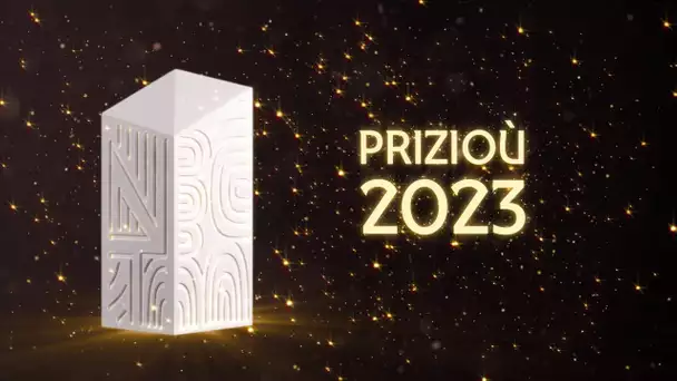 Prizioù 2023 : levr faltazi / livre de fiction