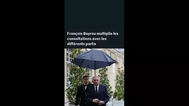 Vote de confiance : François Bayrou multiplie les consultations avec les différents partis