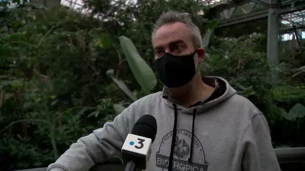 Confinement et cri d'alarme au parc zoologique Biotropica à Val-de-Reuil