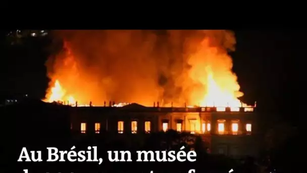 Incendie à Rio : un musée brésilien part en fumée
