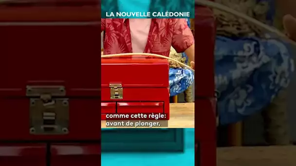 🏝️ Pourquoi les îles Loyauté en Nouvelle-Calédonie se déplacent-elles ? #CPS #shorts