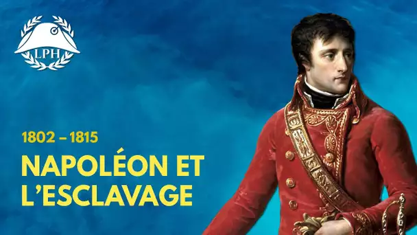 Napoléon était-il esclavagiste ? - La Petite Histoire - TVL
