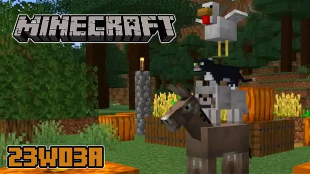 MINECRAFT 1.20 - Le futur de Minecraft est mort ?