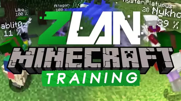 ZLAN #8 - Minecraft Game 2 training final