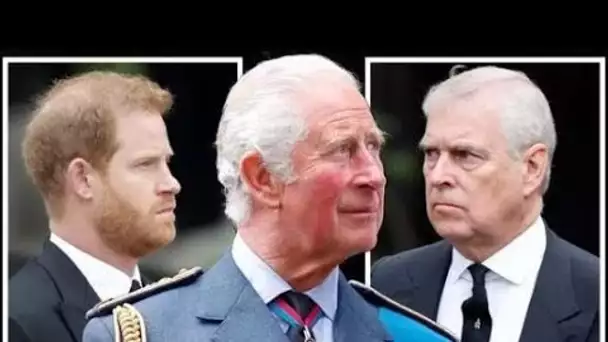 Charles s'apprête à retirer le tapis sous Harry et Andrew avec un changement de règle