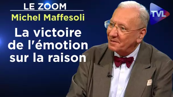 La victoire de l'émotion sur la raison - Le Zoom - Michel Maffesoli - TVL