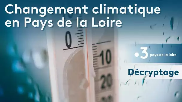 Décryptage : changement climatique, quelles conséquences dans les Pays de la Loire ?