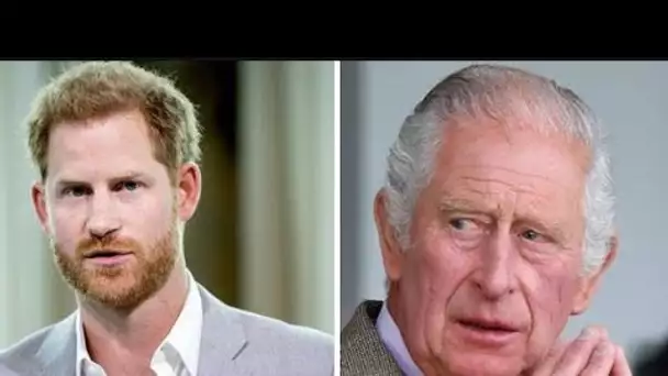 Le prince Harry tente d'éclipser le discours du roi en publiant une nouvelle vidéo pleine de gags