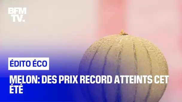 Melon: des prix record atteints cet été