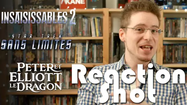 Reaction Shot #1 - Insaisissables 2, Star Trek Sans Limites & Peter et Elliott le Dragon