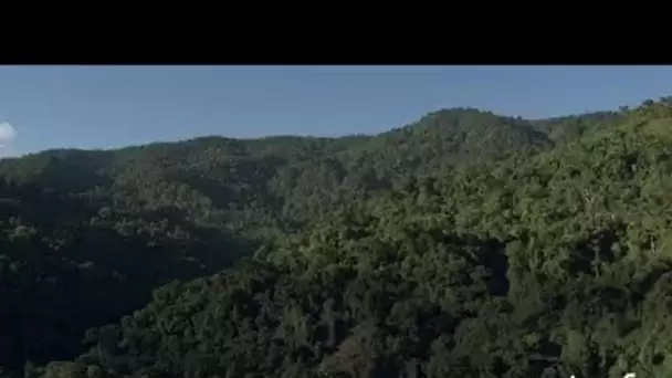 Costa Rica : école dans la forêt