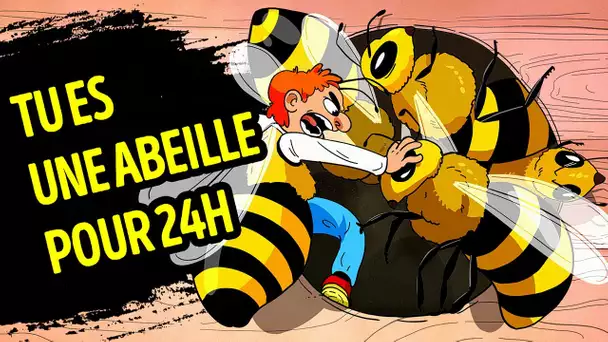 Et Si Tu Devenais Une Abeille Pour 24 Heures