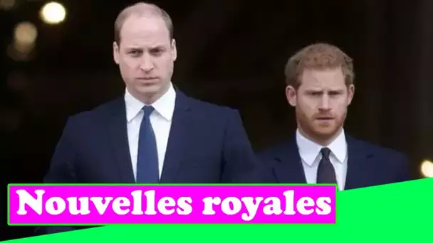 Avertissement royal: la faille de Harry et William ne sera jamais réparée tant que «la confiance ne