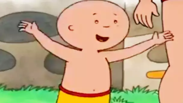 Caillou FRANÇAIS - PLUS QU'UNE HEURE COMPLÈTE DE CAILLOU S3 | conte pour enfant