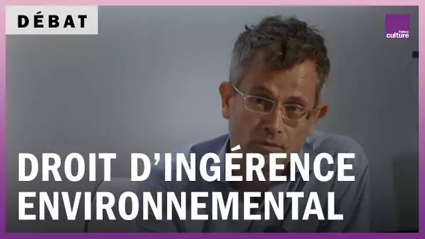 Faut-il un droit d'ingérence environnemental ?