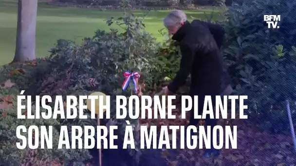 Élisabeth Borne a planté son arbre à Matignon, comme le veut la tradition